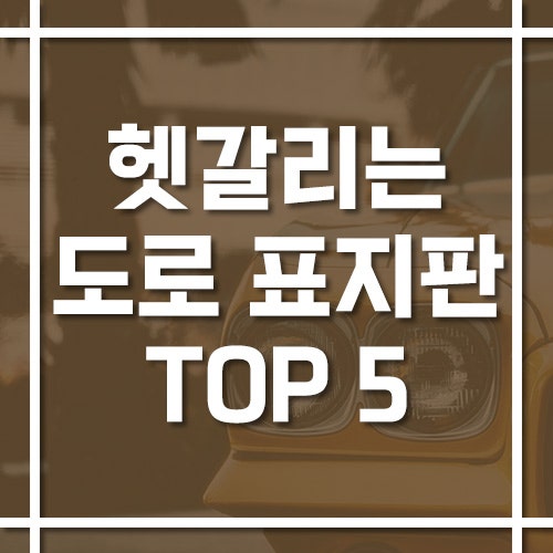 초보 운전자가 가장 많이 실수하는 도로 표지판 TOP 5