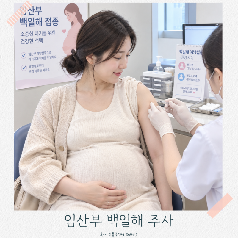 임산부백일해주사 성인가족 예방접종 병원 보건소 가격기간