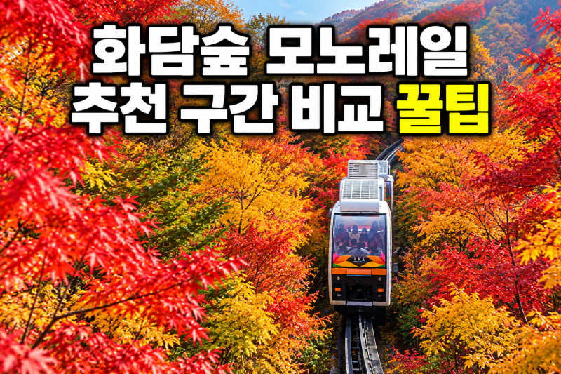 화담숲 모노레일 추천 구간, 1구간·2구간·순환 비교 꿀팁 (+예약방법·시간·차이 총정리)