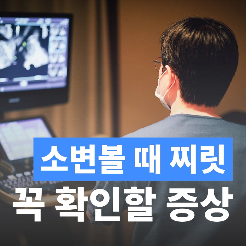 소변볼 때 찌릿 피가 나온다면 확인해야 할 원인과 필요한 검사