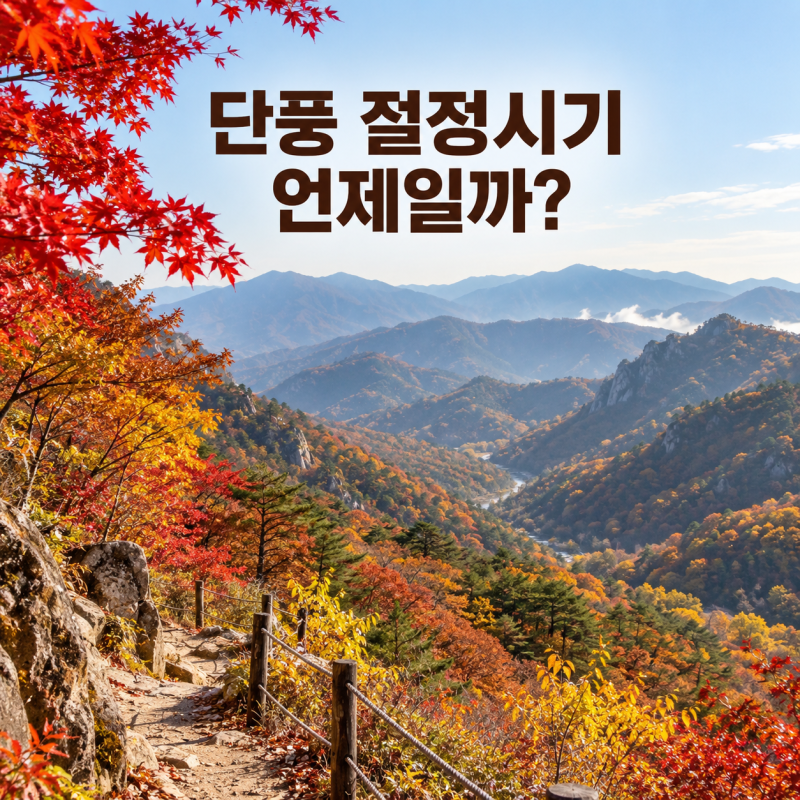 단풍 절정시기 언제일까? 설악산부터 내장산 한라산까지 가장 예쁜 날짜