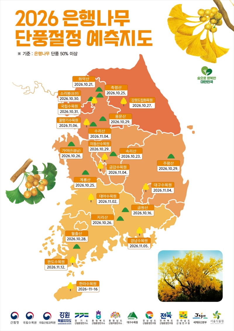 2026 전국 단풍 절정 시기 총정리 산림청 은행, 단풍지도 대표 명소