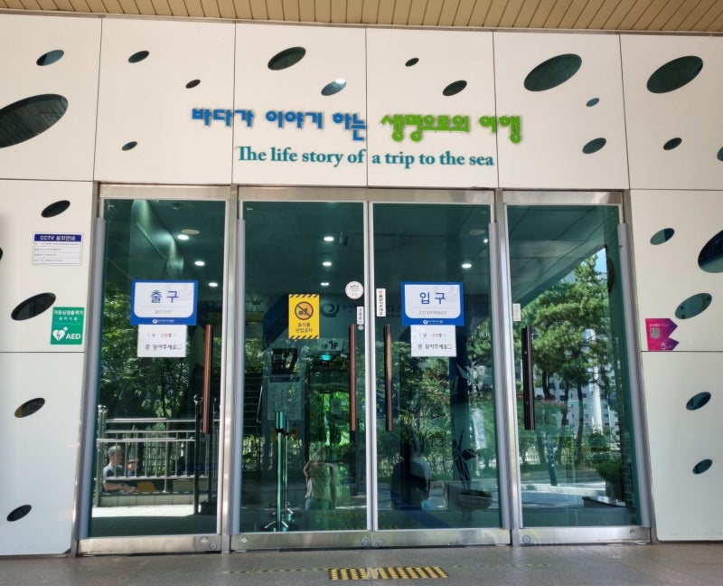 [부산 아이랑 가볼만한곳] 무료 입장에 볼거리 가득! 부산해양자연사박물관 방문 후기
