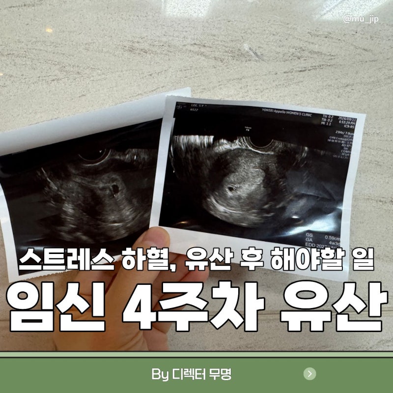 임신 초기 유산 4주차 증상 피비침 스트레스 원인 배통증 계류유산 화학적유산, 유산이어도 ....
