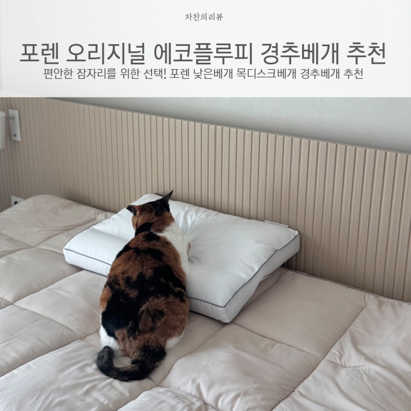 편안한 잠자리를 위한 선택! 포렌 낮은베개 목디스크베개 경추베개 추천