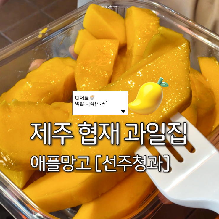 제주 협재 가볼만한곳 [선주청과 과일집] 내돈내산 제주애플망고 꼭 사먹으세요••