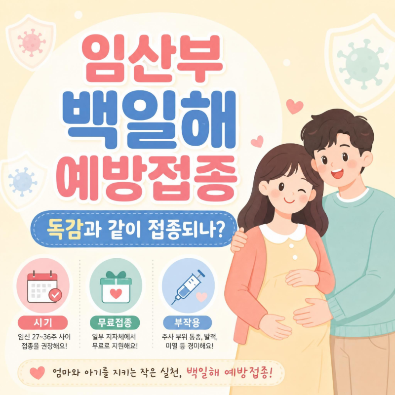 임산부 백일해 접종｜남편·가족도 같이 맞아야 할까? 무료접종 대상부터 독감 동시접종까지