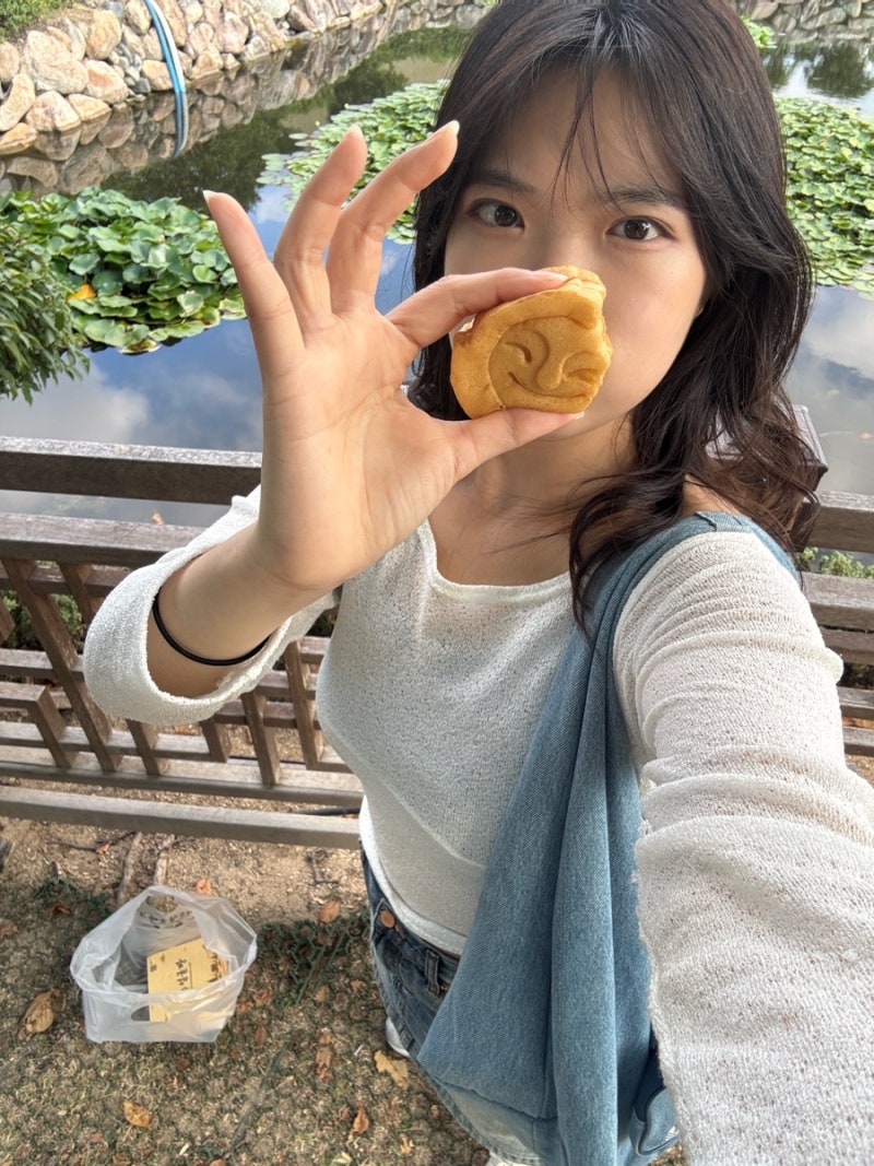 [나혼자 경주여행] 서울에 따릉이가 있다면 경주엔 타실라가 있다