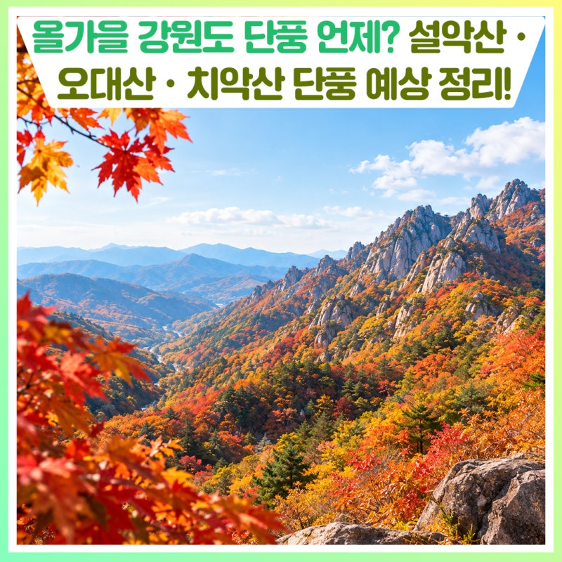 올가을 강원도 단풍 언제? 설악산·오대산·치악산 단풍 예상 시기 정리