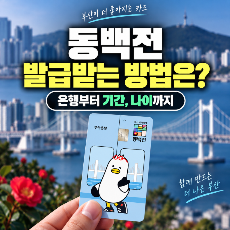 동백전 발급받는 방법은? 은행부터 기간, 나이 기준까지 확인해보니