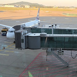 파라타 항공 다낭 탑승 후기｜A320·A330 컴포트 플러스 좌석 비교