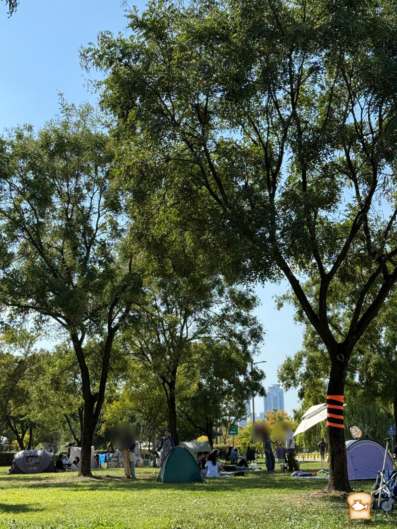 Jamsil Hangang Park Weekend Tent Zone Review & Parking Tips: Fun Things to Do in Seoul