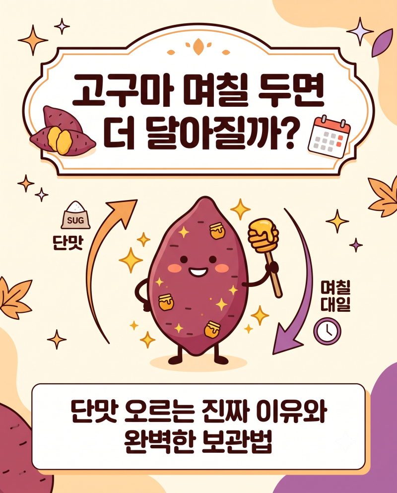고구마는 왜 며칠 지나면 더 달아질까? 보관과 당도 변화