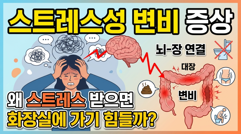 스트레스성 변비 증상｜스트레스 받으면 왜 화장실에 가기 힘들어질까?