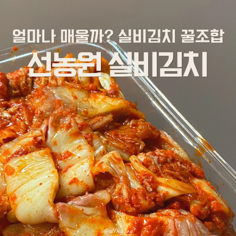 선농원 실비김치 얼마나 매울까? 솔직 맵기 평가