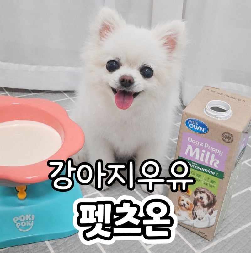 펫츠온 강아지 멸균우유 1L 강아지 음수량 늘리기 좋은 펫밀크