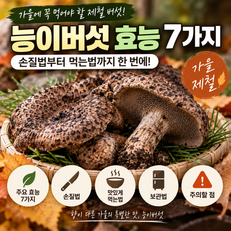능이버섯 효능과 영양성분, 가을 제철에 맛있게 먹는 방법