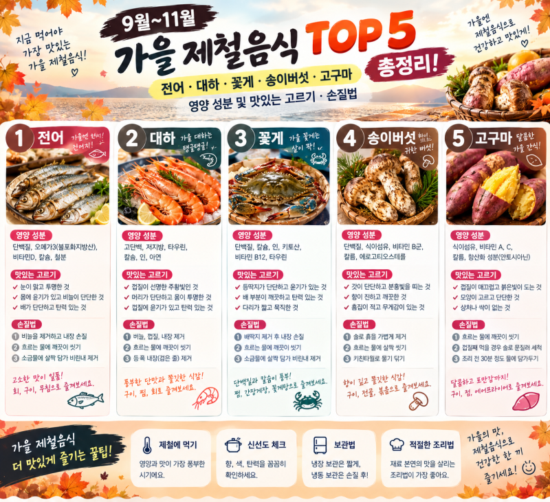 9월~11월 가을 제철음식 TOP 5 총정리! 전어·대하·꽃게·송이버섯·고구마 영양 성분 및 맛있는....