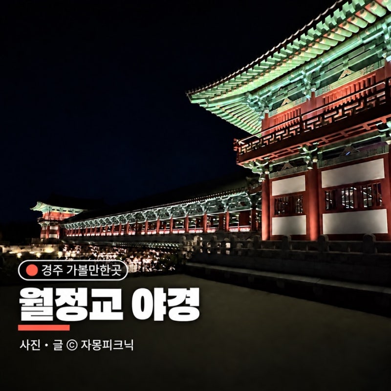 경주 가볼만한곳 월정교 야경 주차 정보 야간 여행코스