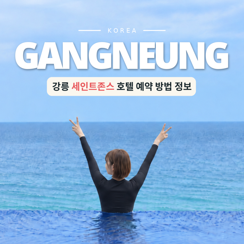 강릉 세인트존스 호텔 오션뷰 수영장 반려견 동반 부대시설 총정리