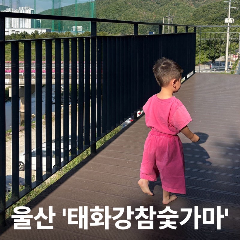 아기랑 찜질방을? 울산 태화강참숯가마 추천, 땀 쫙 빼고 온 후기