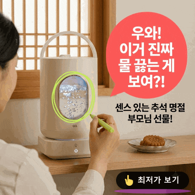 오아 글라스팀 가습기, 센스있는 추석 명절 부모님 선물