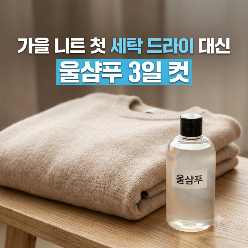 가을철 니트 첫 세탁 드라이클리닝 대신 울샴푸로 줄어듦 없이 끝낸 팁