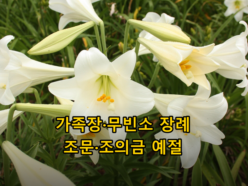 가족장·무빈소 장례 부고 받았을 때, 조문 가도 될까? 조의금·화환·위로 문자 예절