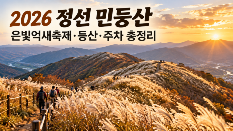 2026 정선 민둥산 은빛억새축제｜축제 일정·억새 절정·등산 코스·주차·숙소 총정리