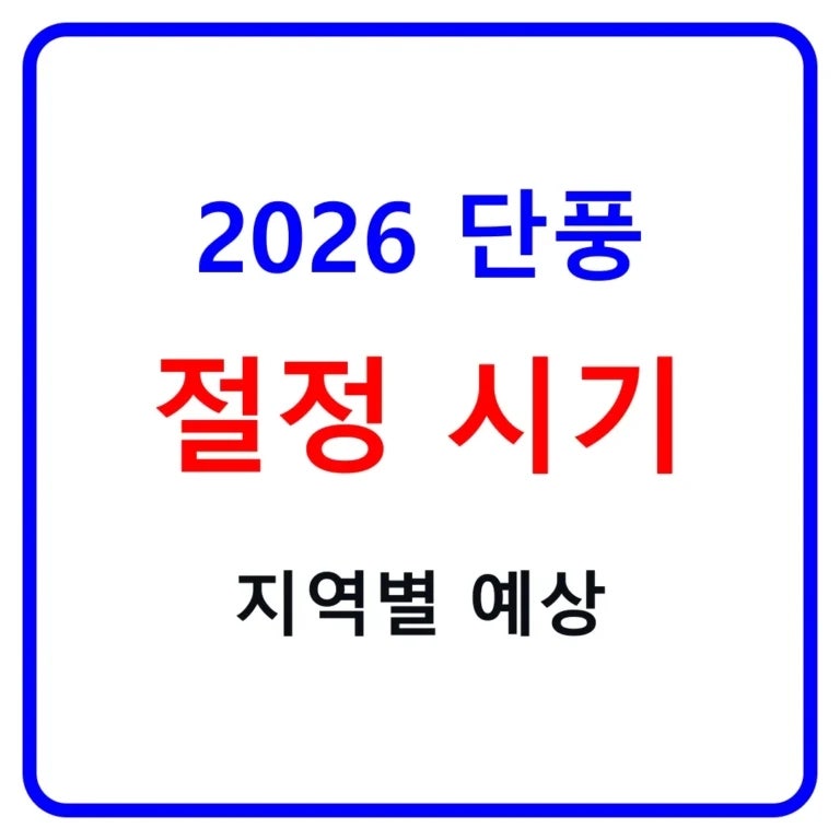 2026 단풍 절정 시기 예상｜설악산·내장산·한라산 단풍시기와 여행 날짜 정리