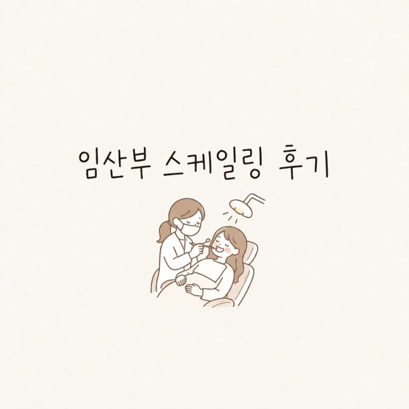 임산부 치과 스케일링 비용 후기 치과치료 시기와 진료 할인 방법