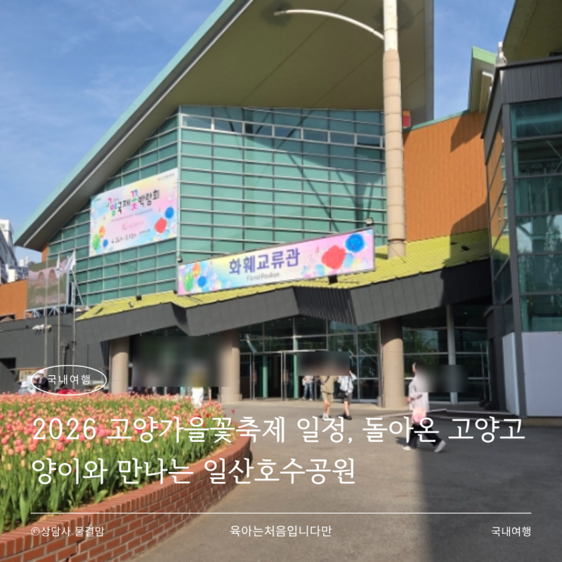 2026 고양가을꽃축제 일정, 돌아온 고양고양이와 만나는 일산호수공원