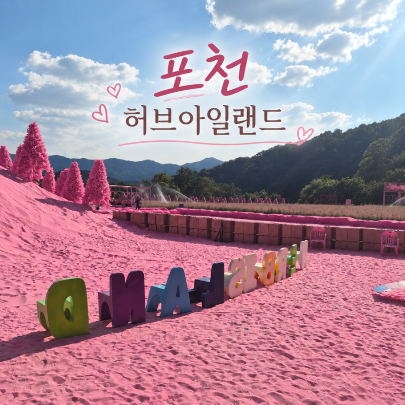 [포천 가볼만한곳] 허브아일랜드 핑크뮬리 축제 기간, 개화 상태, 입장료, 주차, 트랙터 후기 ....