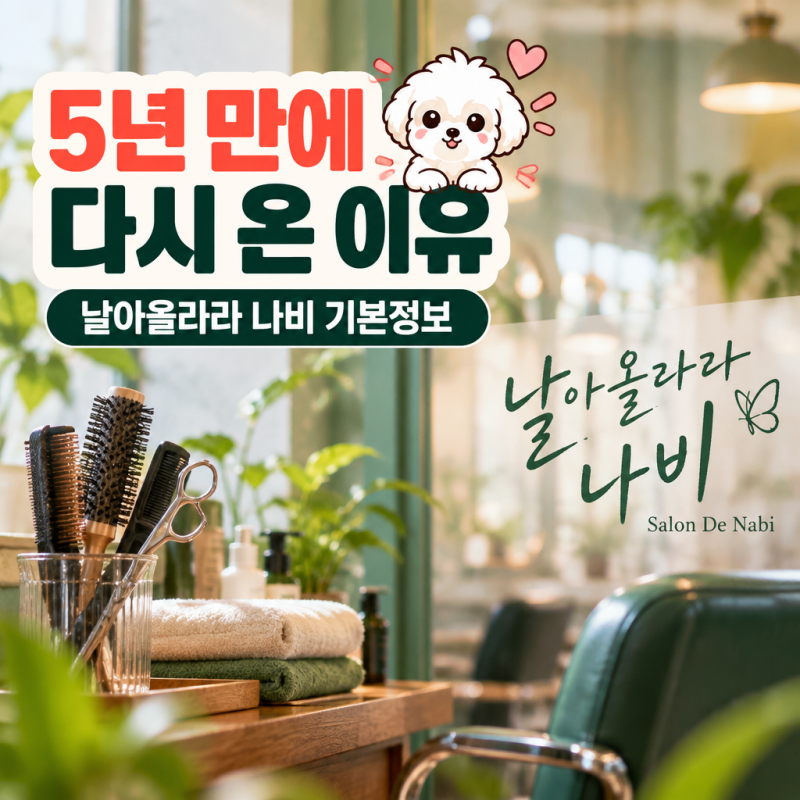 날아올라라 나비 기본정보, 5년 만에 방송되는 진짜 이유는?