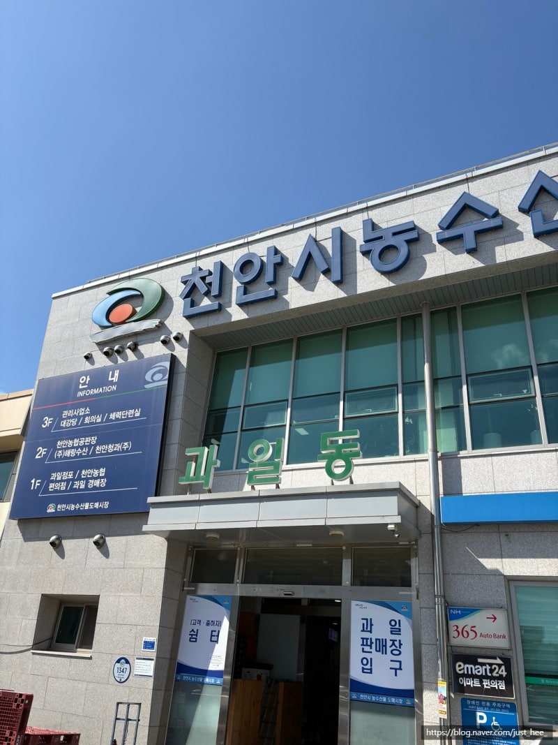 [천안] 천안시농수산물도매시장 방문 후기 (과일동/수산동 추천 상점 & 온누리상품권 환급 정....