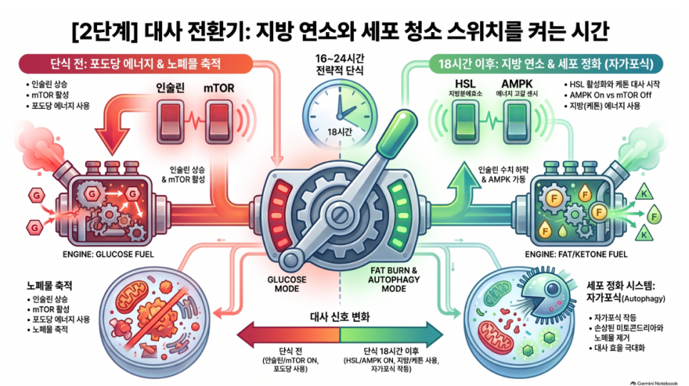 오브한의원 임상 칼럼