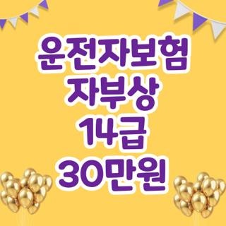 운전자보험 자부상 14급 30만원 청구 서류 및 조건 직접 해보고 깨달은 핵심 팁