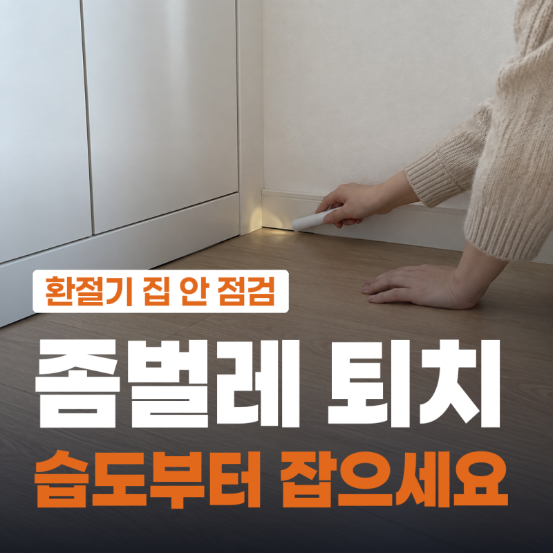 좀벌레 퇴치 습도 50% 아래로 낮추고 종이 상자부터 치우는 순서, 좀벌레 원인과 트랩·약 쓰....