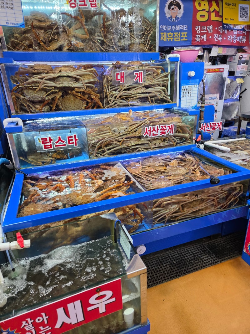 9월 22일 화요일 노량진수산시장 꽃게,활새우,명절전복선물세트,대게,킹크랩,랍스타,낙지,전....