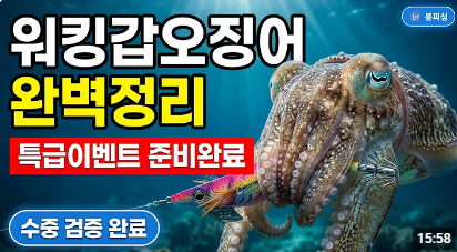 갑오징어 낚시 처음이면 무조건 보세요, 초보도 꽝 없이 조과 2배 만드는 법| EP2 특급이벤트 ....