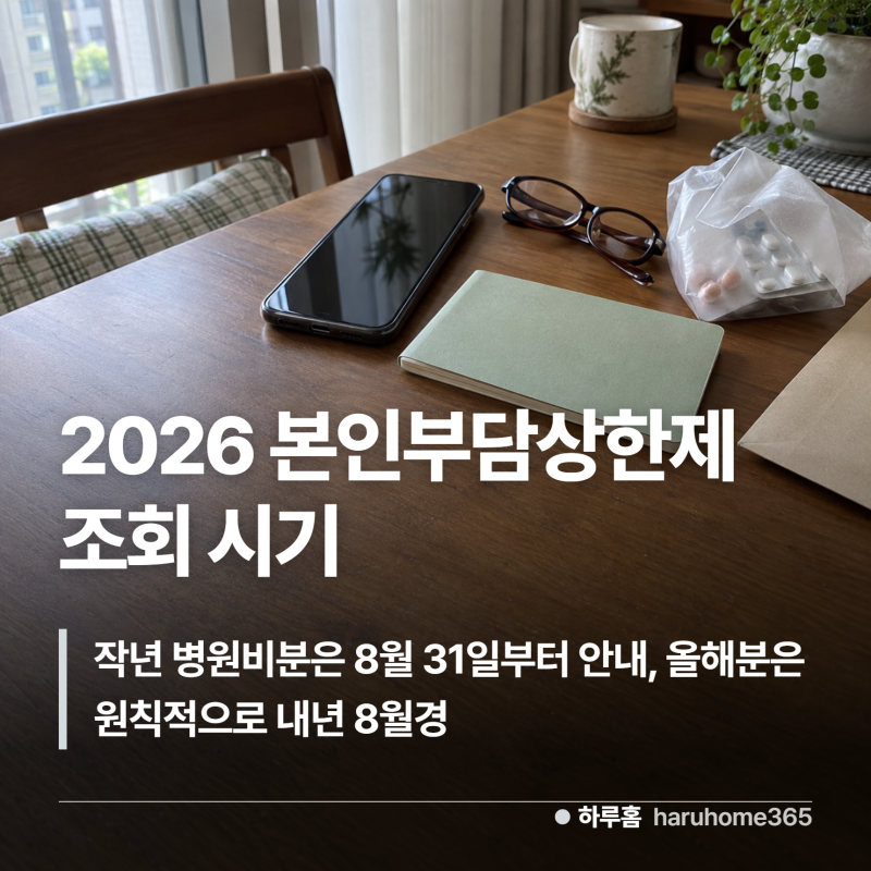 2026 본인부담상한제 조회 시기, 0건이어도 이미 받았을 수 있어요