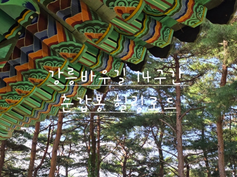 가을 산책 추천 강릉바우길 14구간 춘갑봉 힐링로드