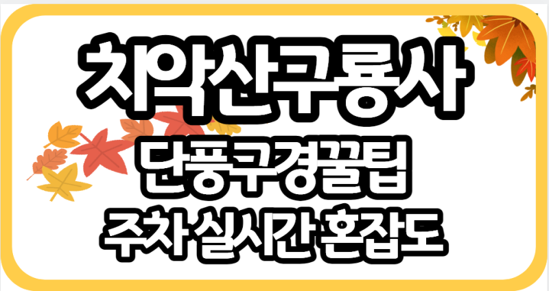 치악산 구룡사 단풍 실시간 CCTV, 절정시기, 인기코스, 주차장, 혼잡도 확인: 세렴폭포 코스와 ....