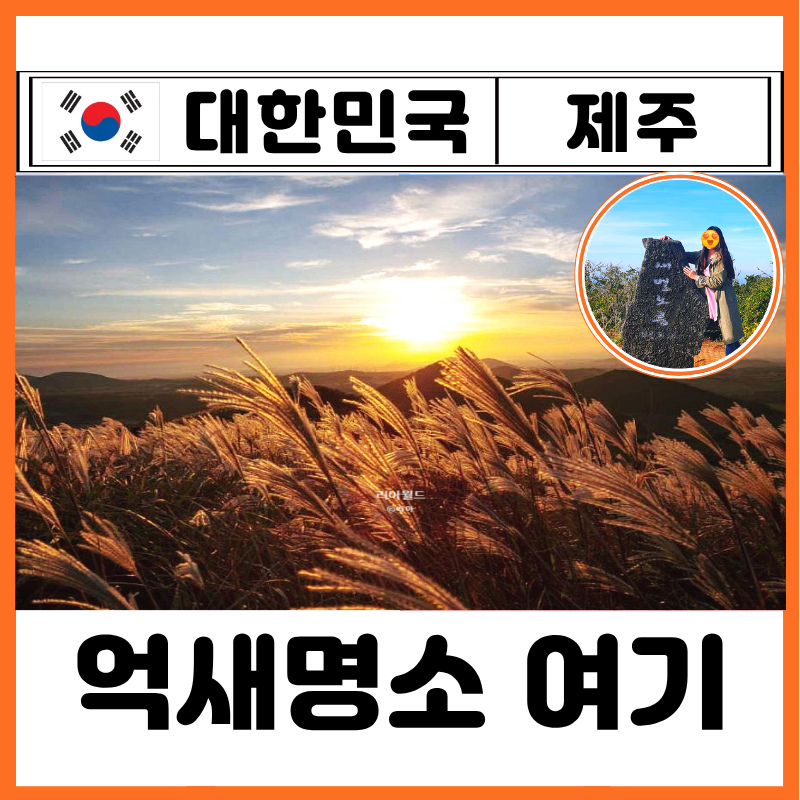 제주 억새 명소 새별오름 10월 절정 날씨 소요시간 일몰 끝판왕 맛집 카페 추천 주차장 찐후....