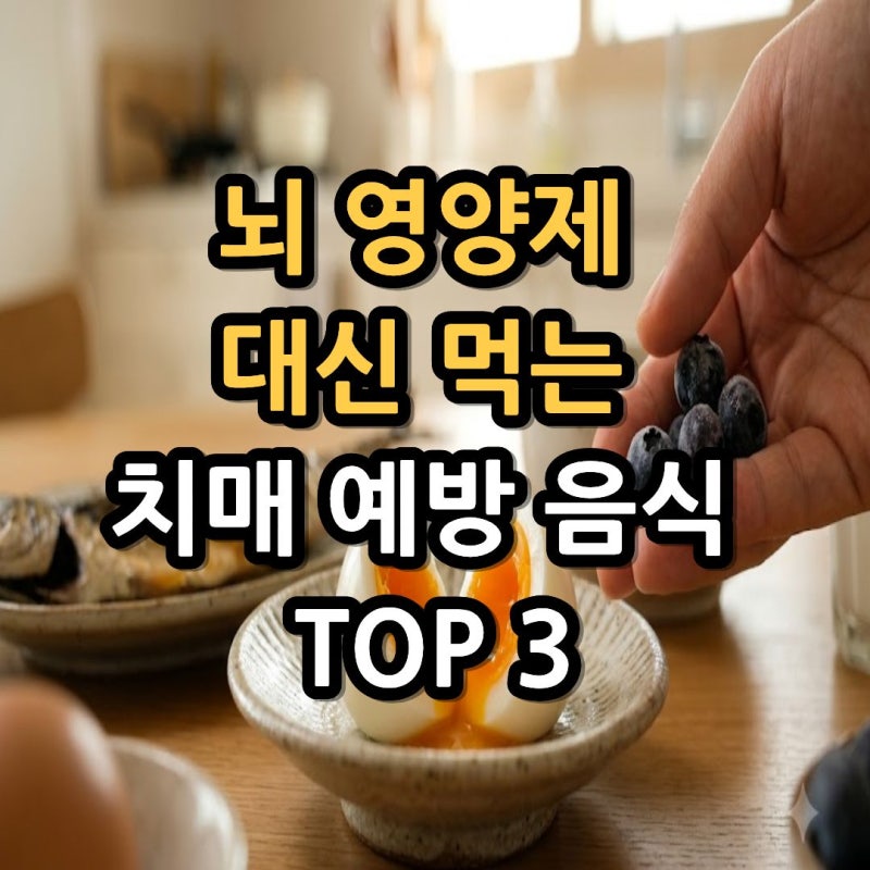 뇌 영양제 대신 먹는 치매 예방 음식 3가지 (냉장고 속 뇌 건강 식품)