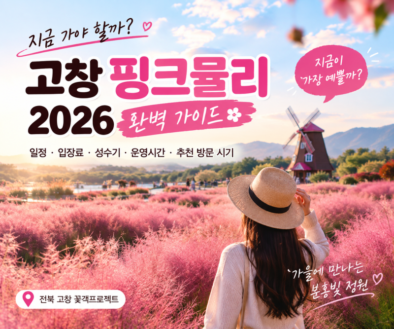 고창 핑크뮬리 2026, 지금 가야 할까? 꽃객프로젝트 가을여행 총정리