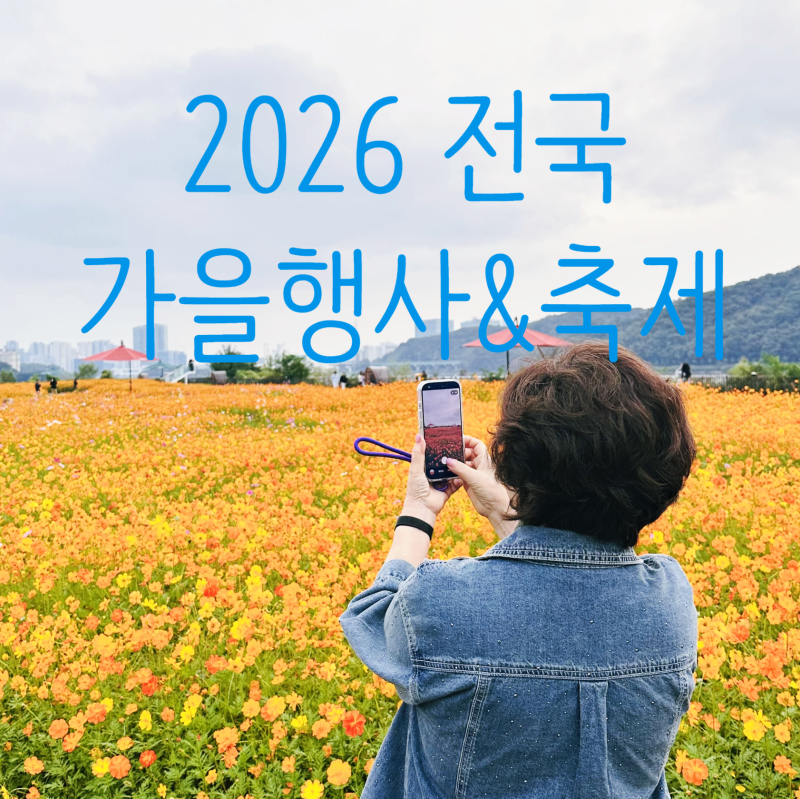 2026년 전국 가을 행사&축제 총정리