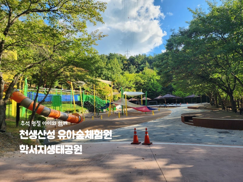 구미 추석에 아기랑 가볼 만한 곳 2 ｜ 천생산성 유아숲체험원, 학서지, 주변 가볼만 한 곳 추....