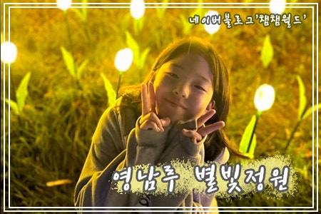 밀양 영남루 별빛정원, 경남 밀양 야경명소 9월까지 입장료 무료!