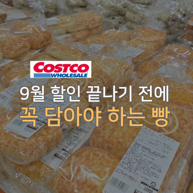 코스트코 "이거 할인" 시작했는데 안 담으면 후회할 빵 2가지